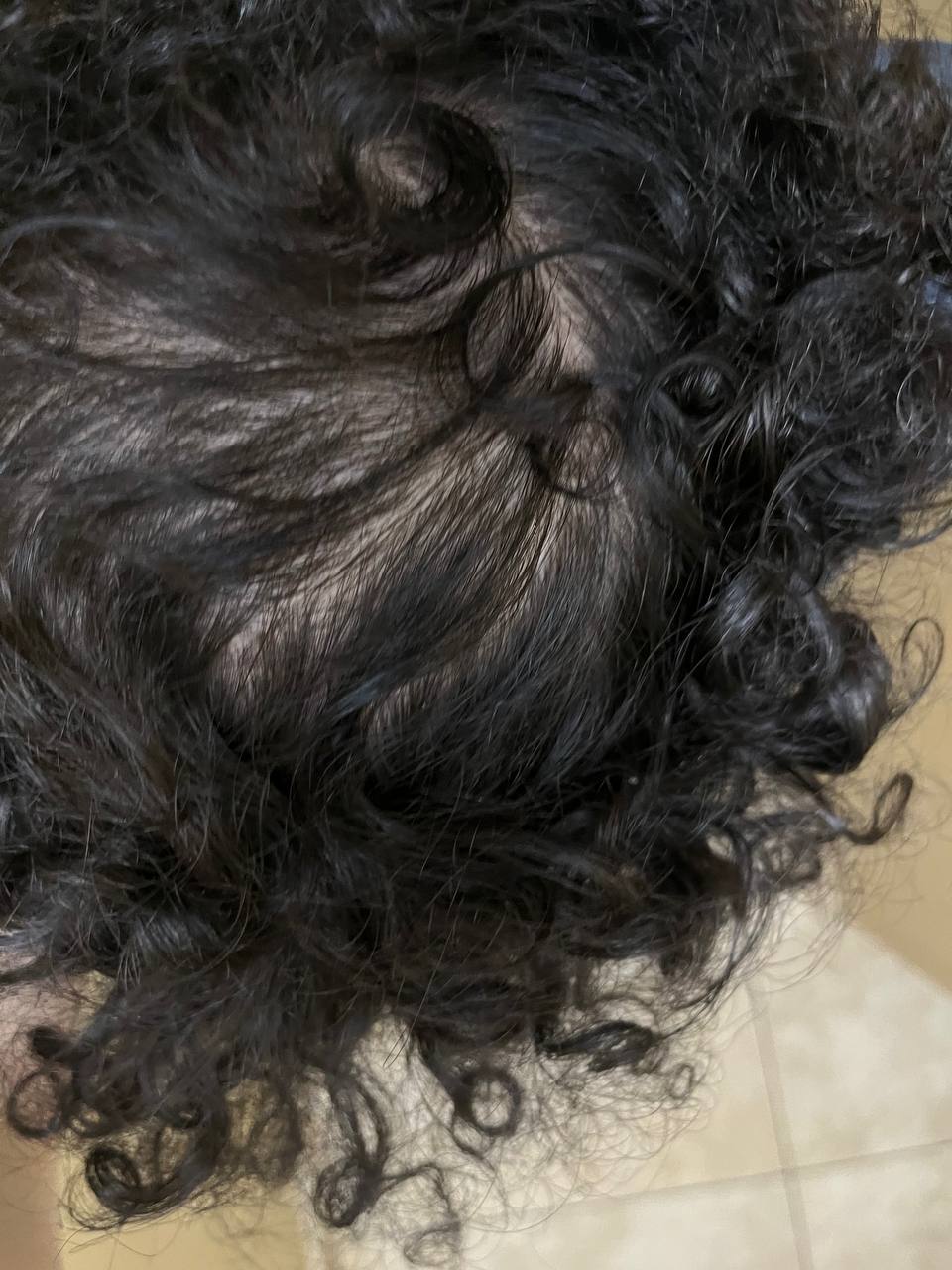 Photo 2026 01 12 14 22 57