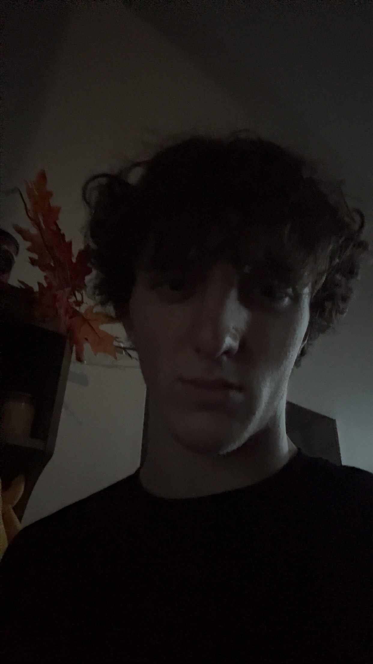 IMG 0557