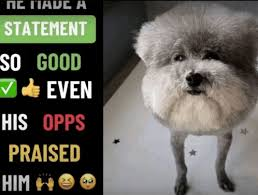 1768306352403