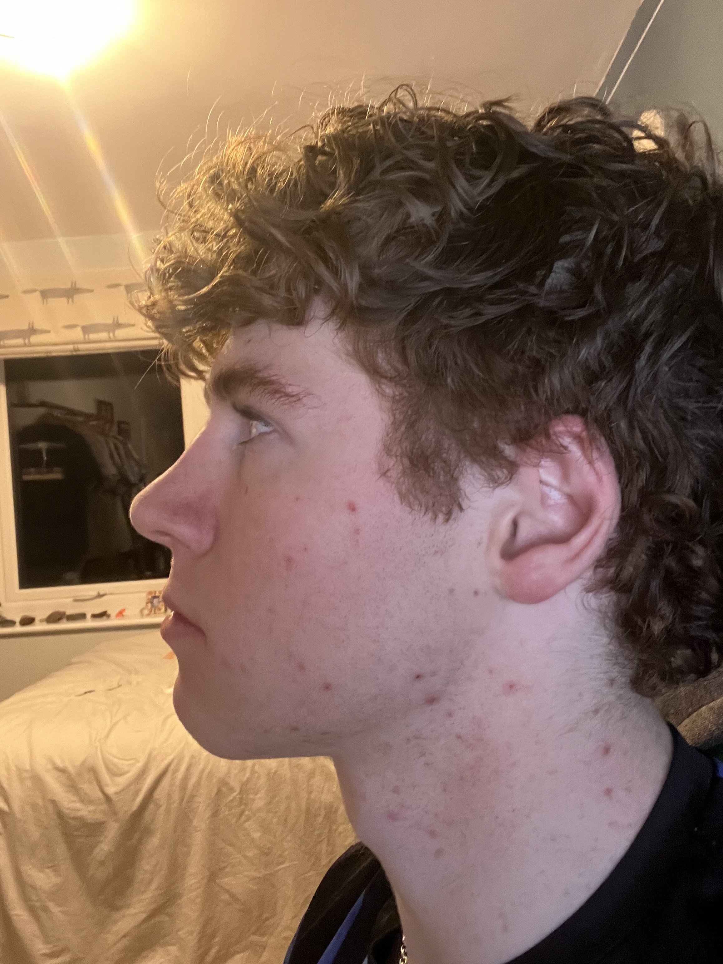 IMG 1445