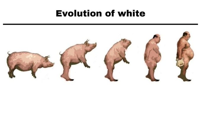 White evolution
