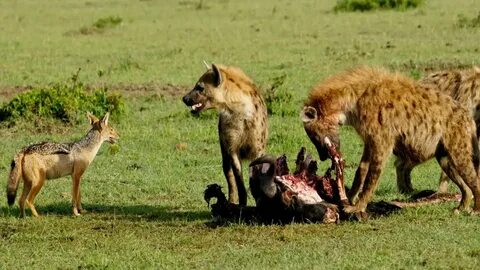 I   2026 01 14T191442387