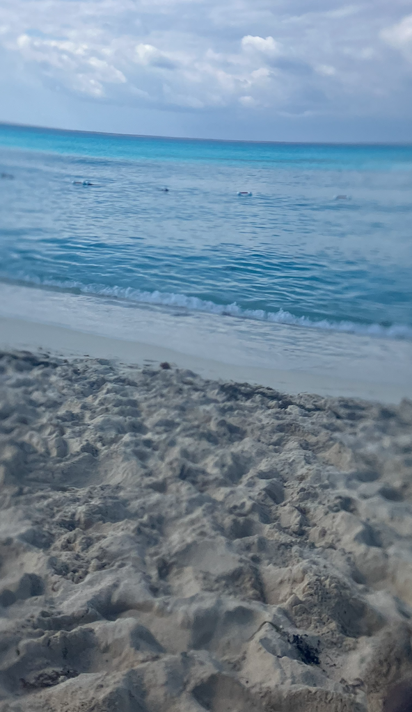 Screenshot 2026 01 14 at 35610PM