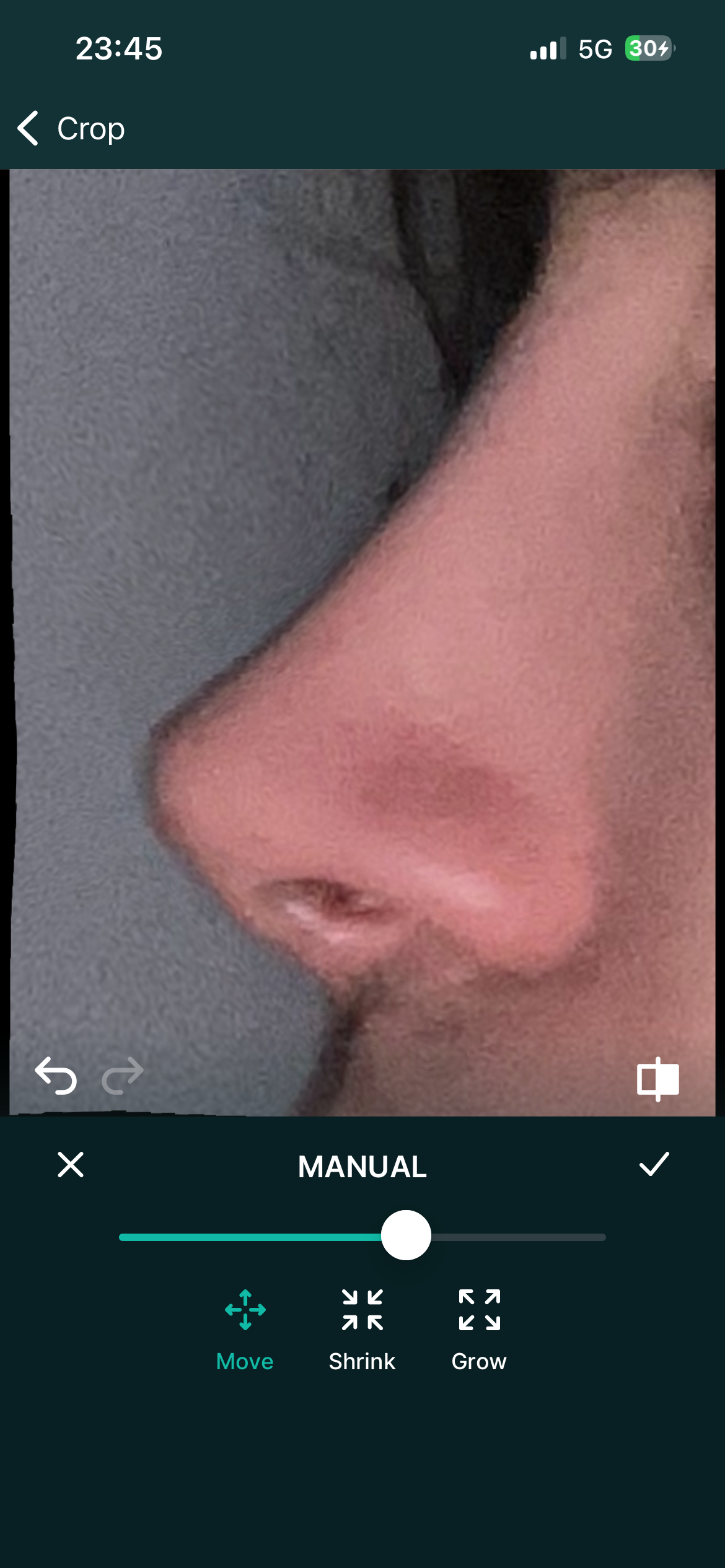 IMG 2446