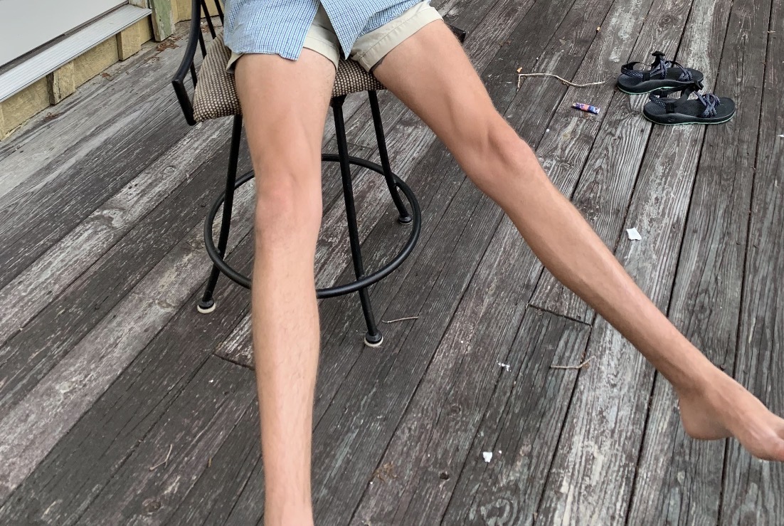 IMG 2453