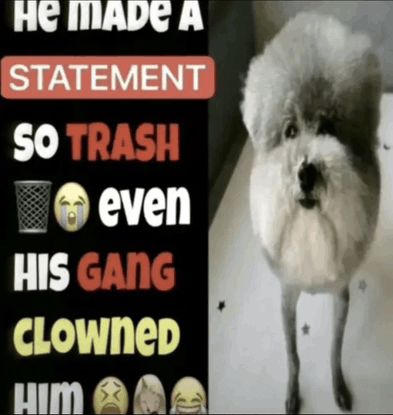 1768555874961