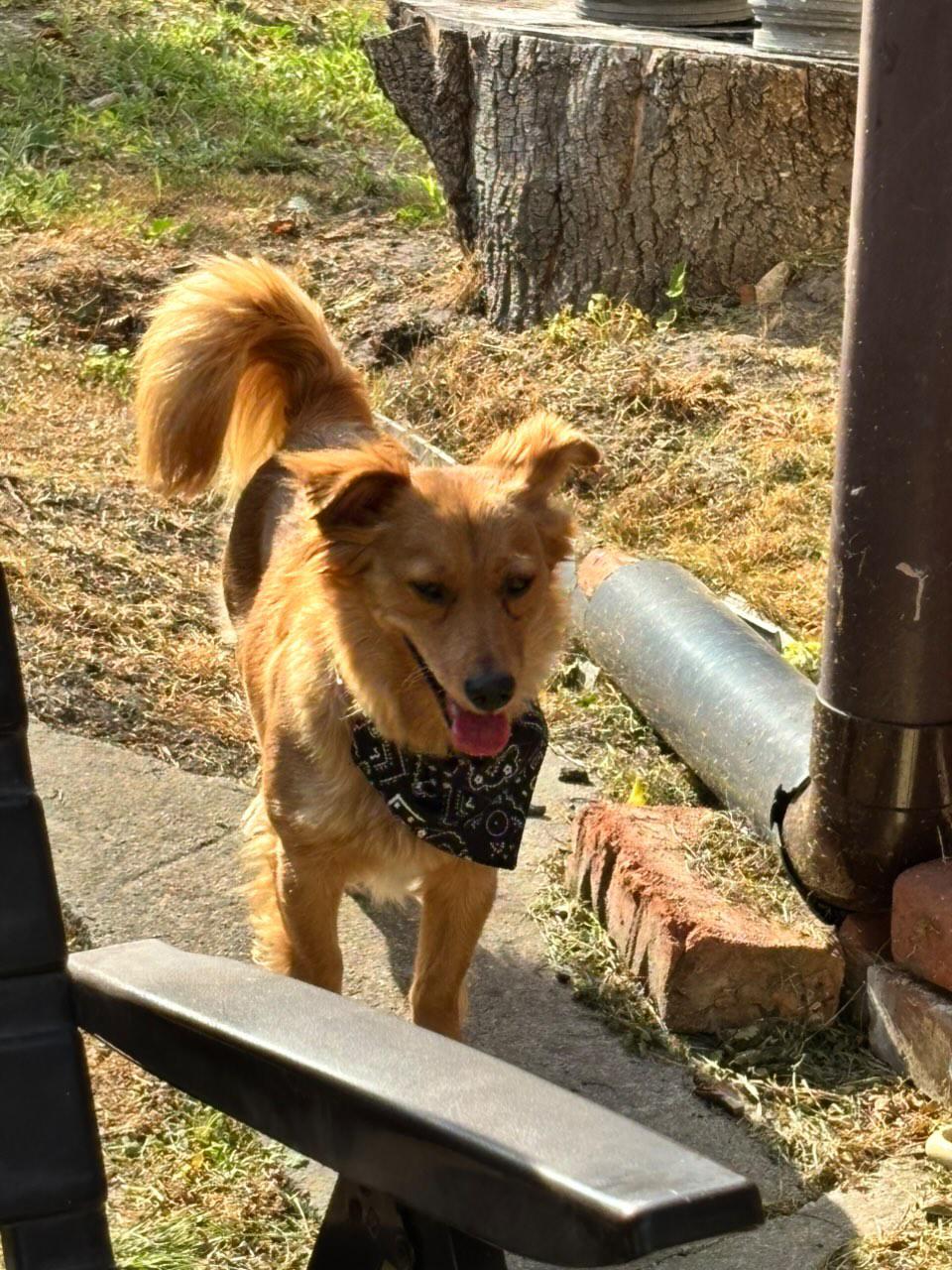 IMG 20260105 215828 247