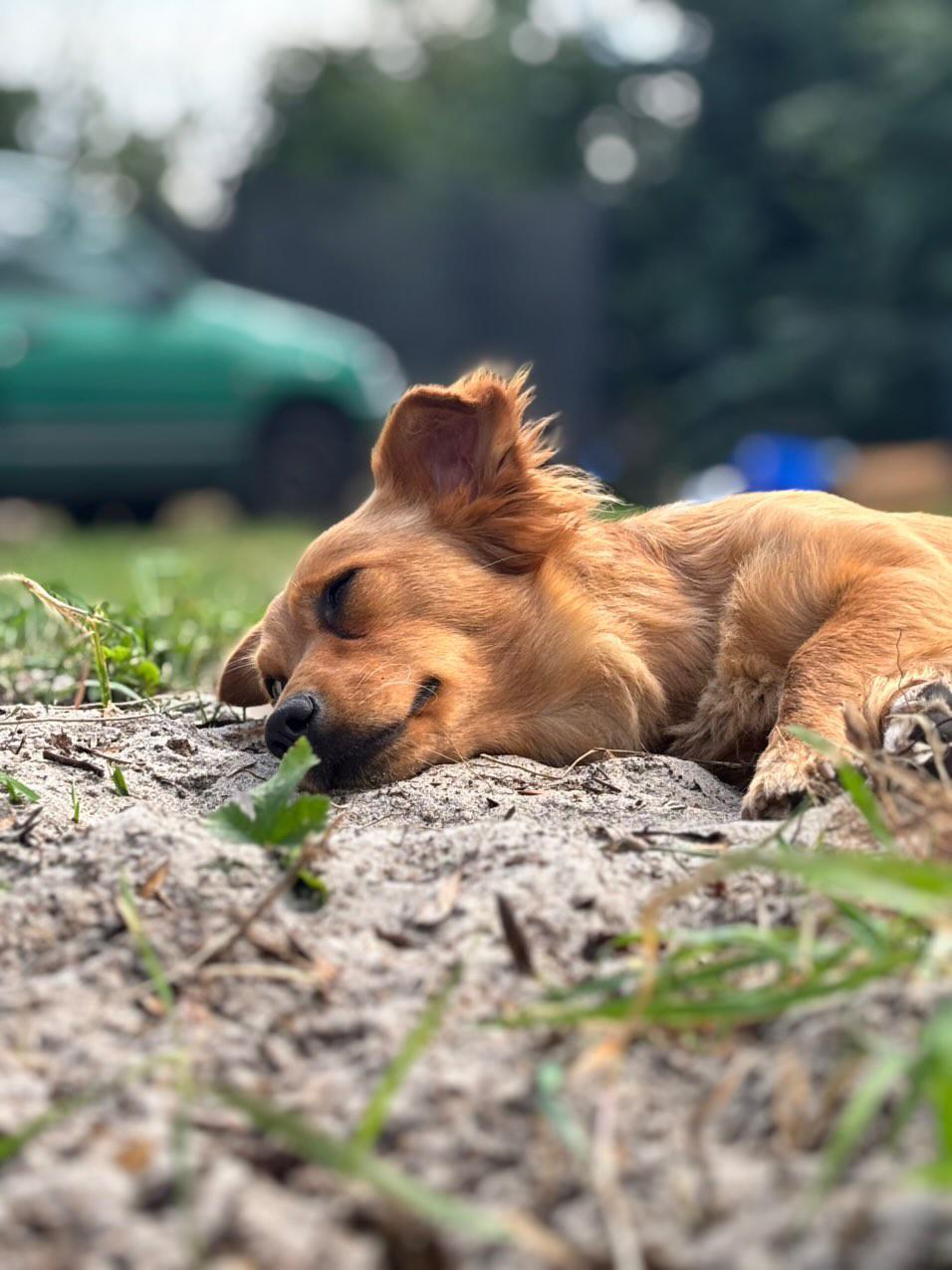 IMG 20260105 215707 279