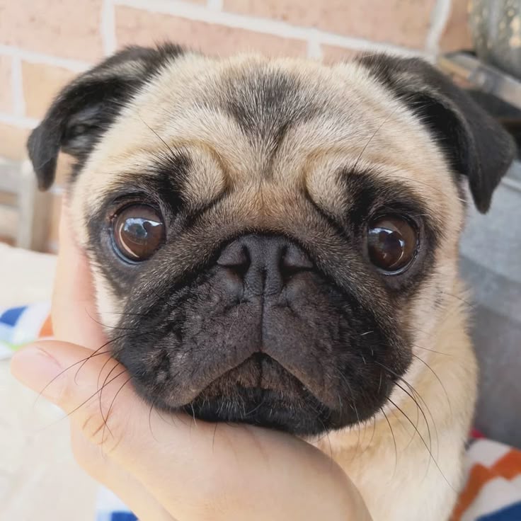 07ec54c6acd834f3f69033bd192013d9