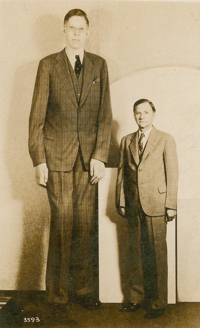 Robert Wadlow postcard