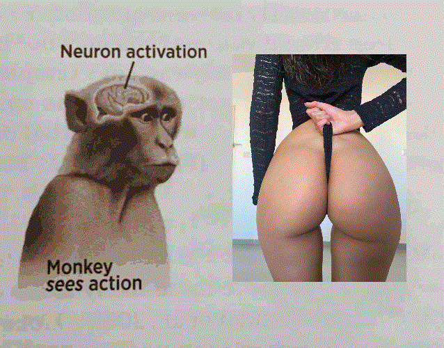 Neuron activation