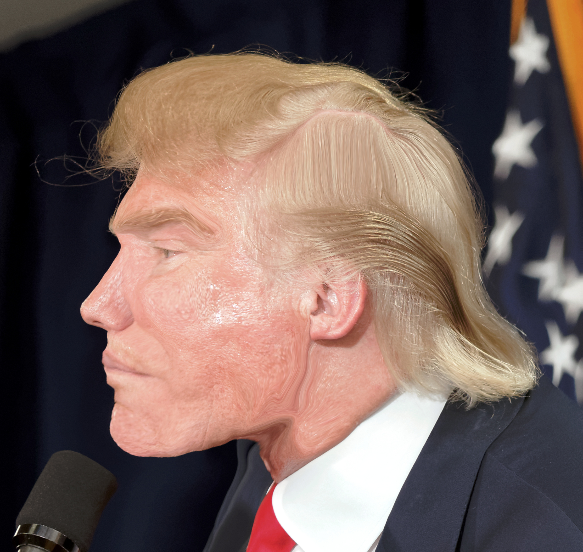 5772007 Donald Trump profile