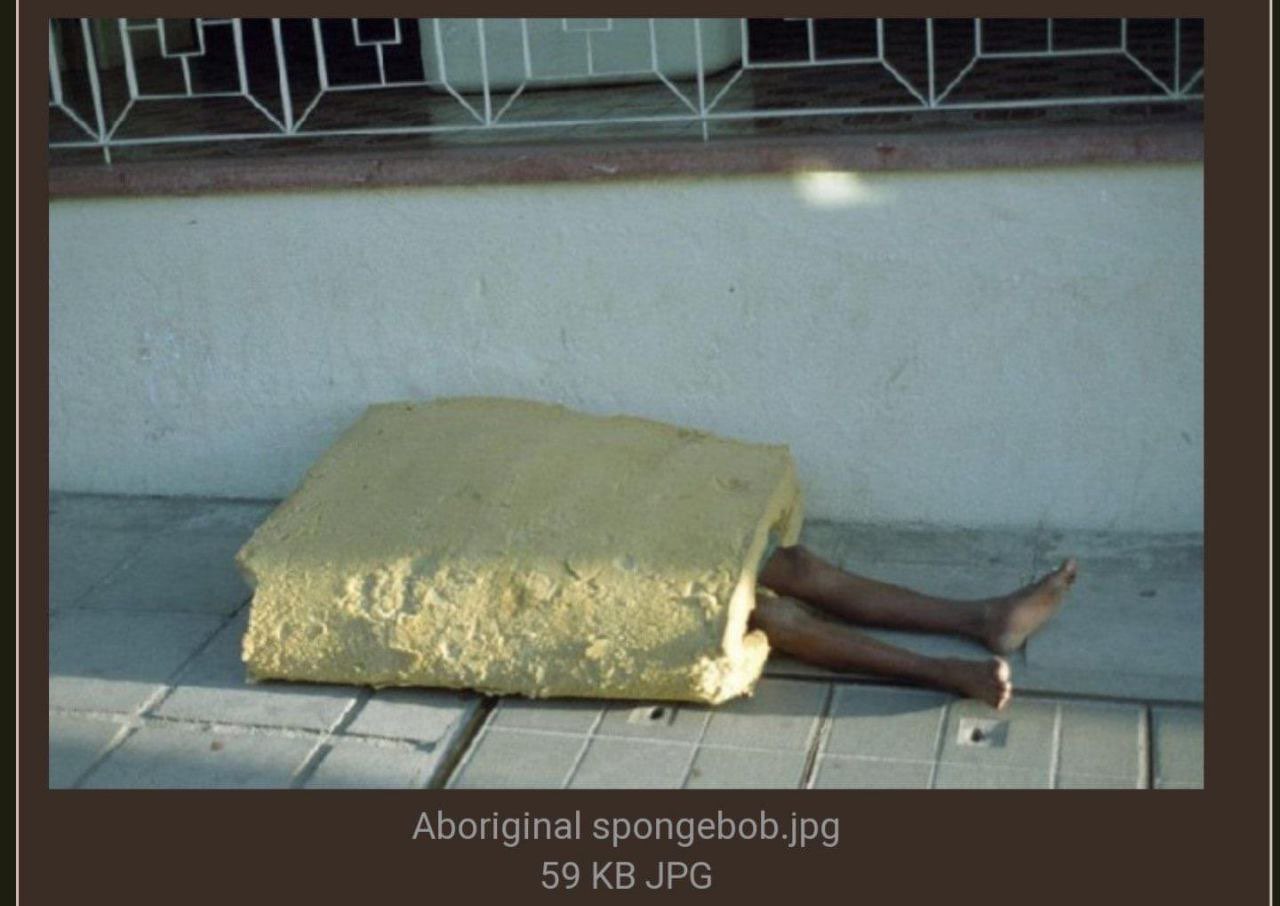 Aboriginal spongebob