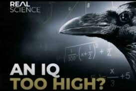 1768689066957
