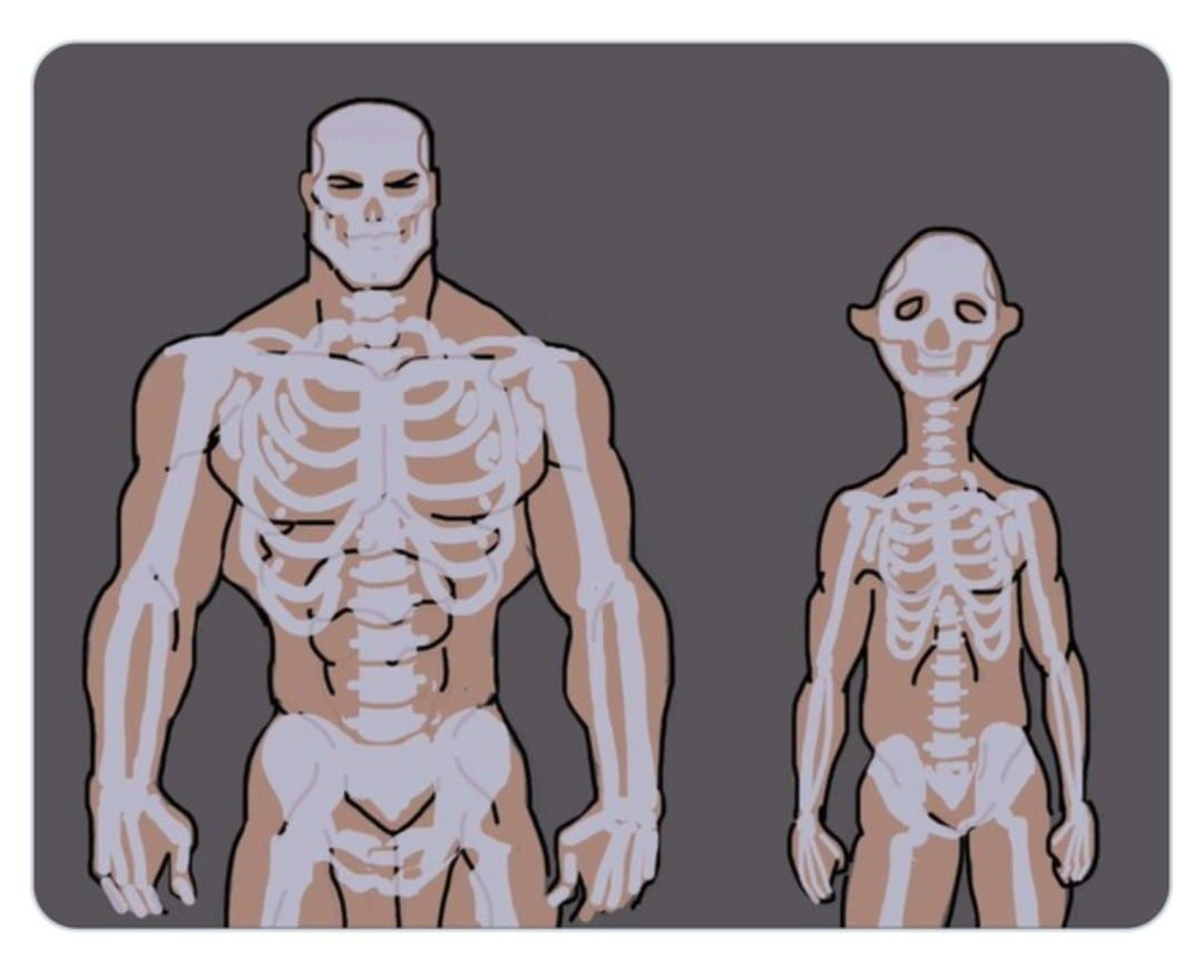 5300355 1756871920193