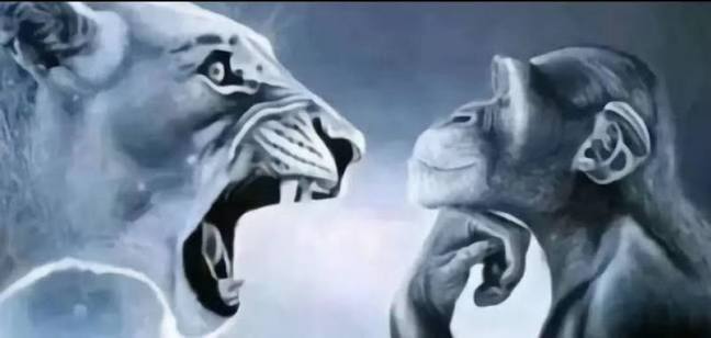 8f194da2d6494052b6e9ab0885162c14tplv jj85edgx6n image origin