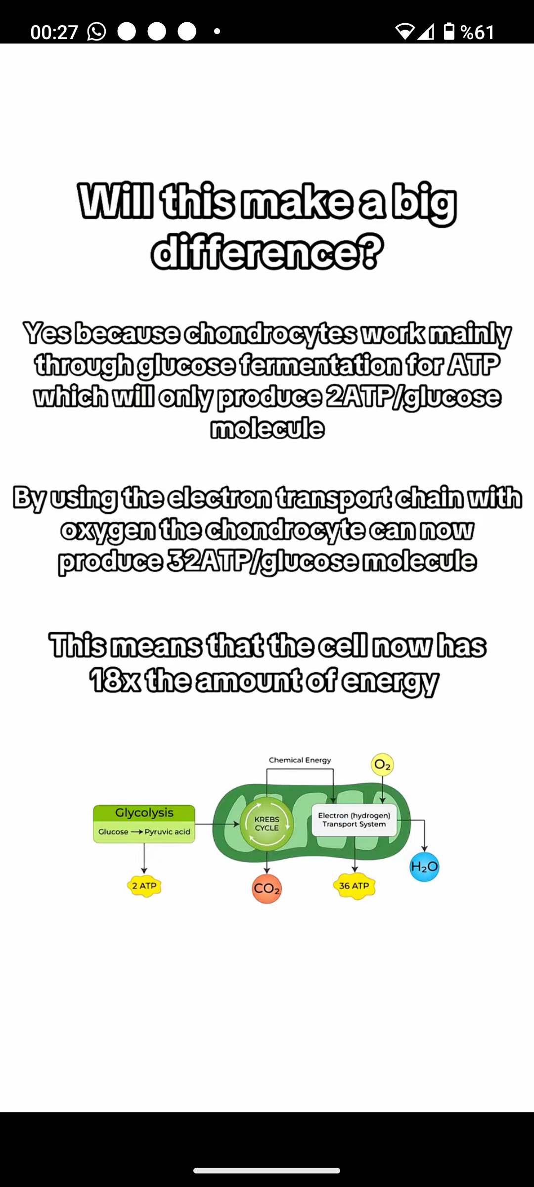 Screenshot 20260119 002755 TikTok