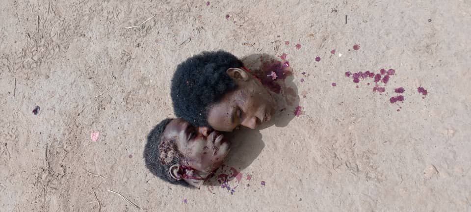 IMG 20260119 033431 662