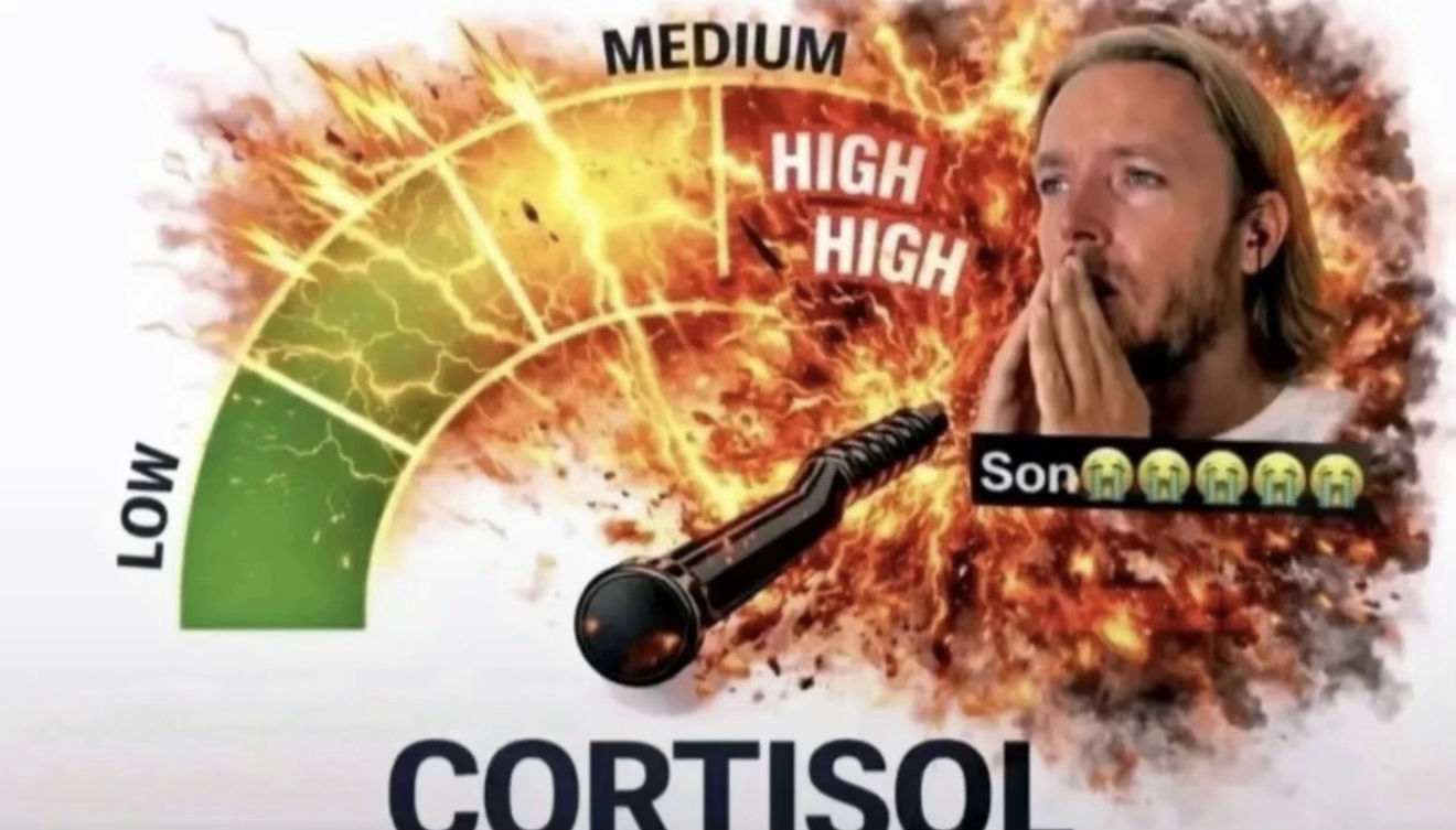 1901e20e9a55478283e24ecc65fa2a55tplv jj85edgx6n image origin