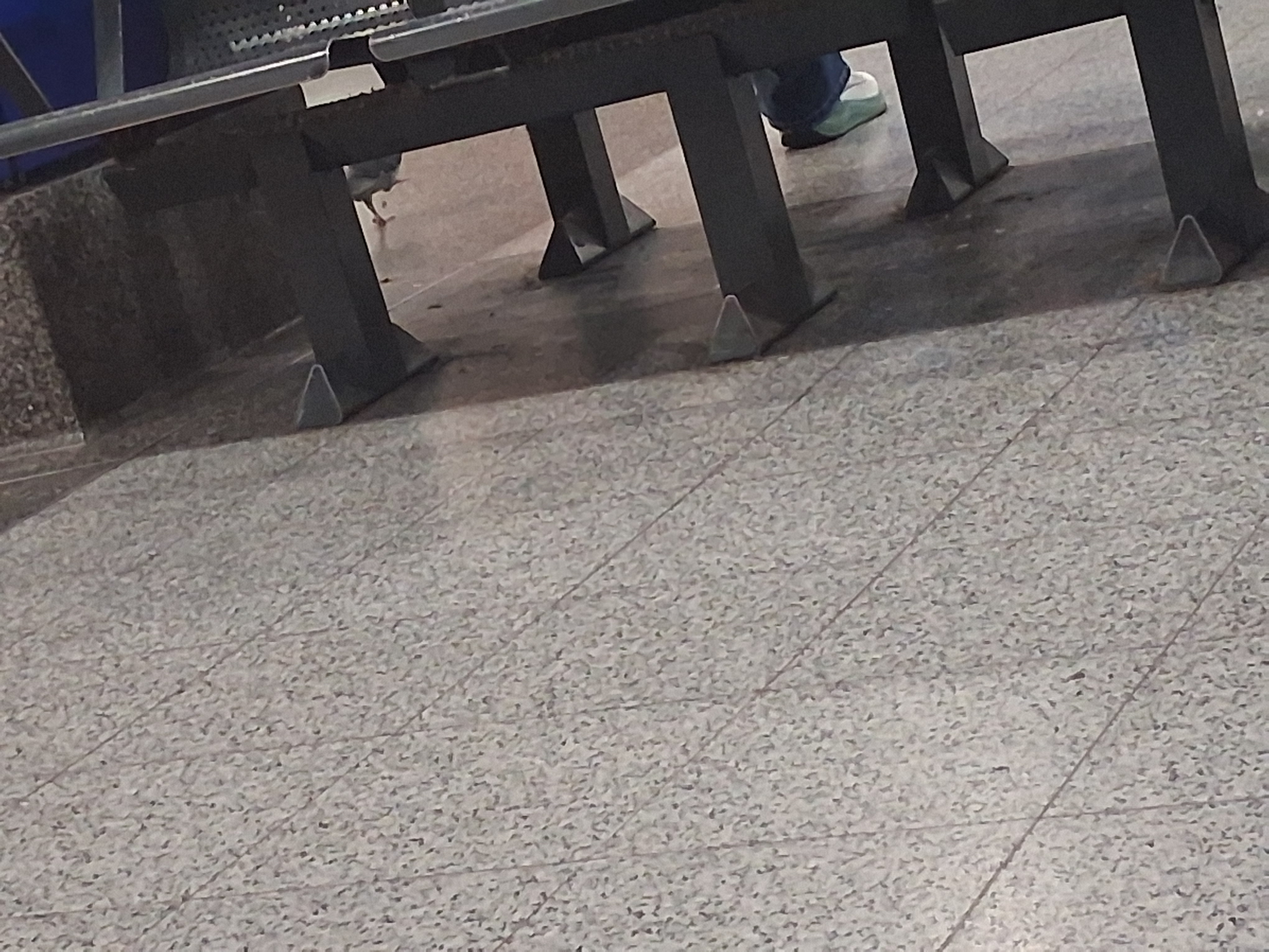 17688085016941013385497255715090