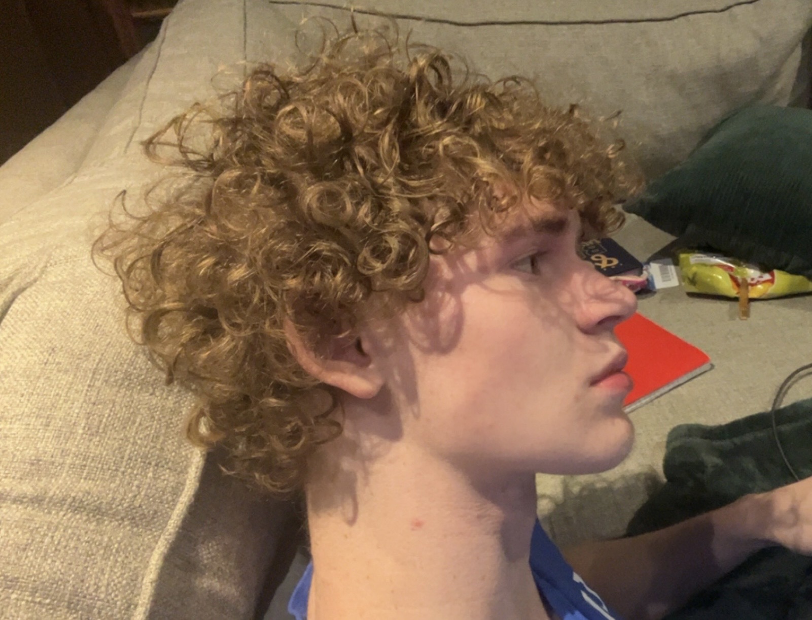 IMG 0869