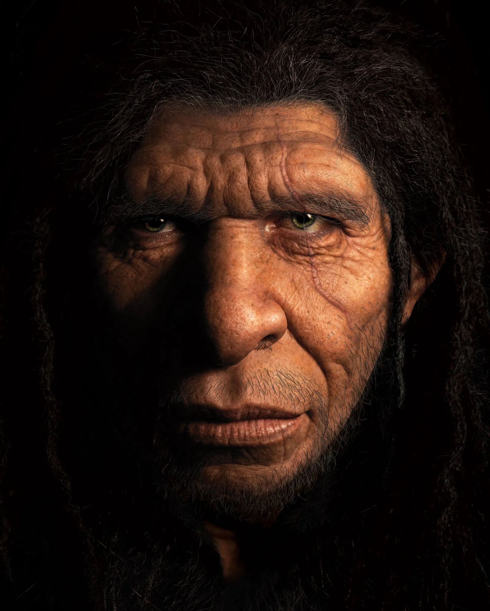 Neanderthal Topic ARJ