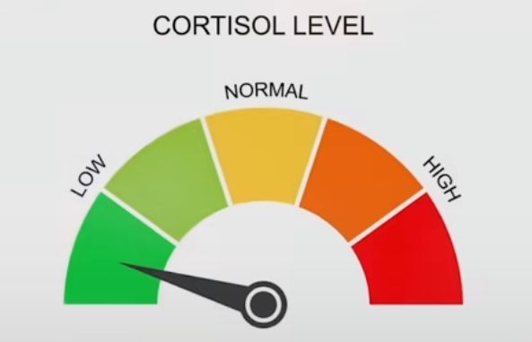 Screenshot 2026 01 13 21 59 06 130 comzhiliaoappmusically edit