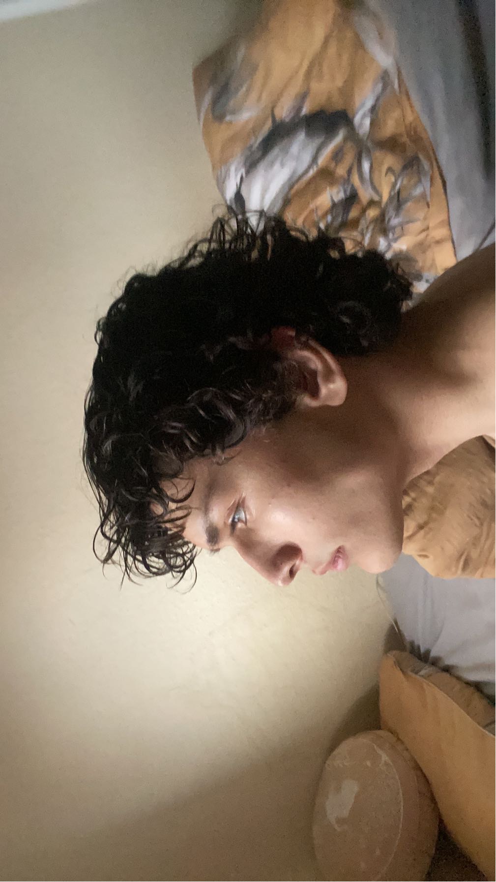 IMG 2804