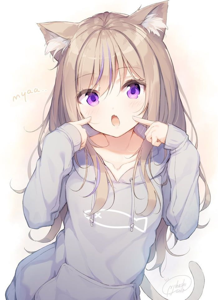 F53d4f95a1f47314e0afc15da46ee966 1