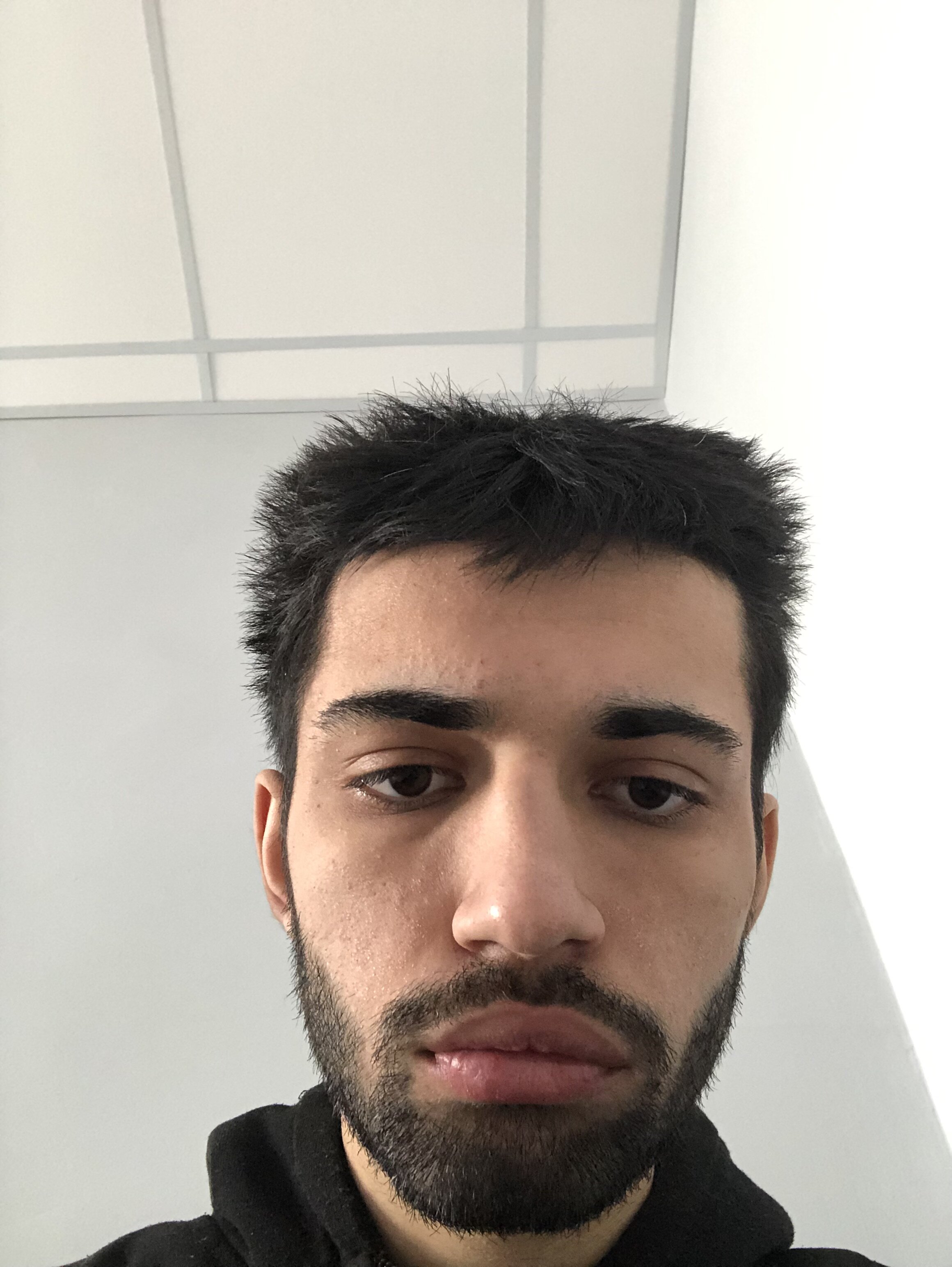 IMG 1012