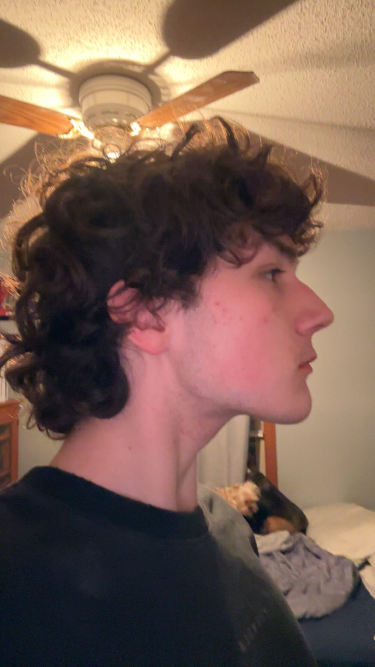 IMG 9650