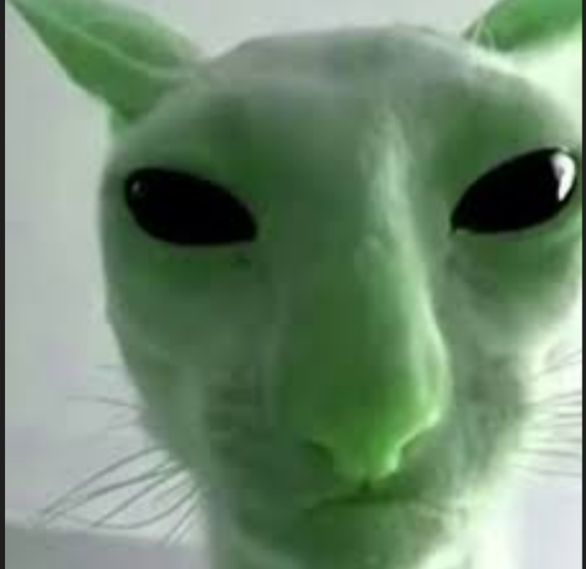 Screenshot 20260121 025509