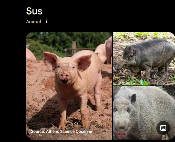 Screenshot 2026 01 21 123520 AM