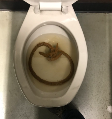 Screenshot 2026 01 21 005746