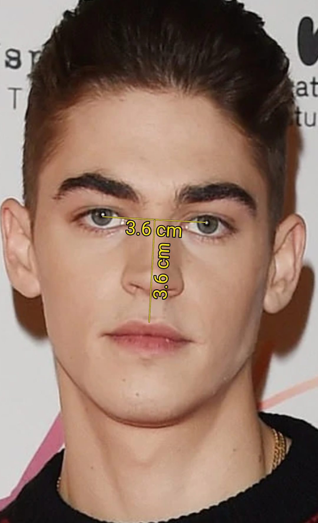 Screenshot 2026 01 21 10 34 26 431 dedirkfarinimagemeter edit