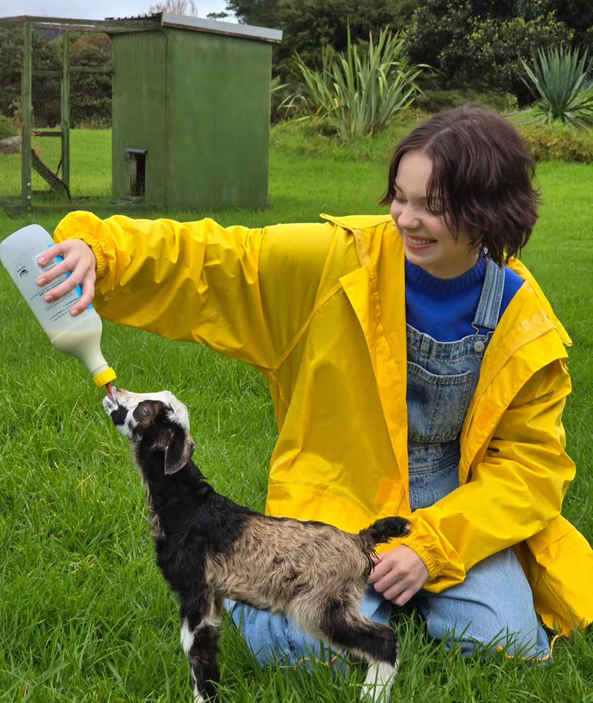 8403A085 405D 4734 B7CB D13D61F08DD0