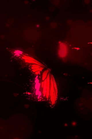 Ffab1a88641f559fbefdcbe5f296b5bb