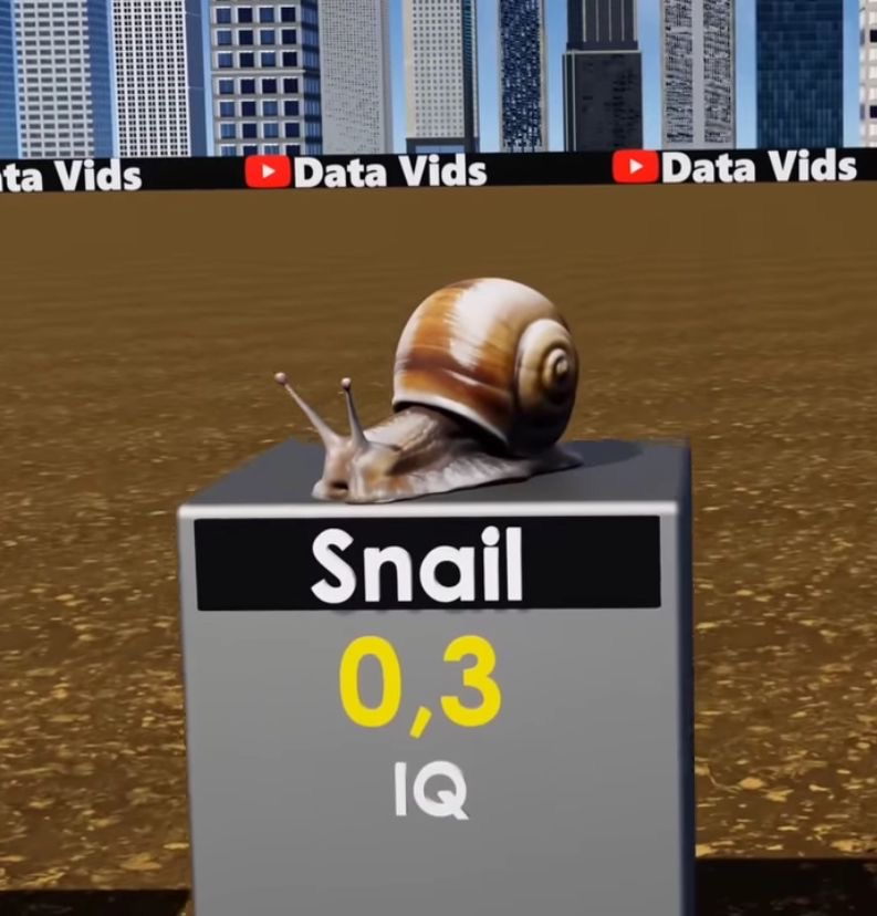 3d2041ef 46fe 415e ab1e eb67f91eb164