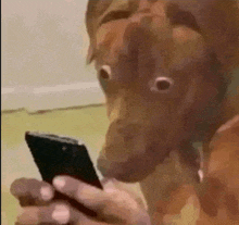 1000242445