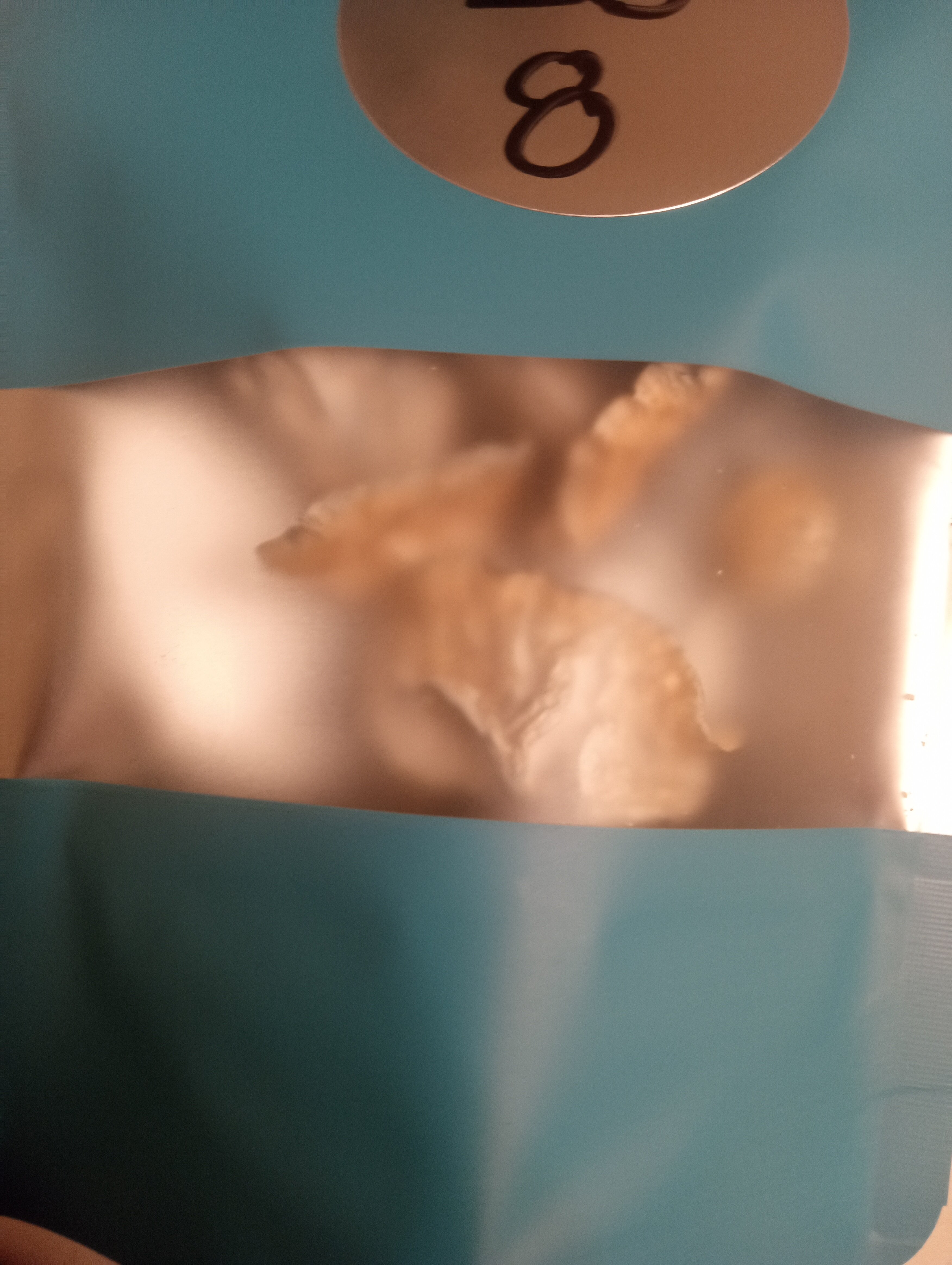 IMG 20260120 141421919