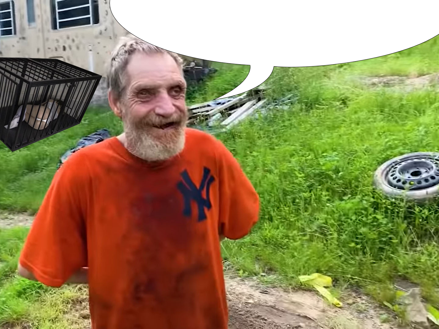 What is that back there