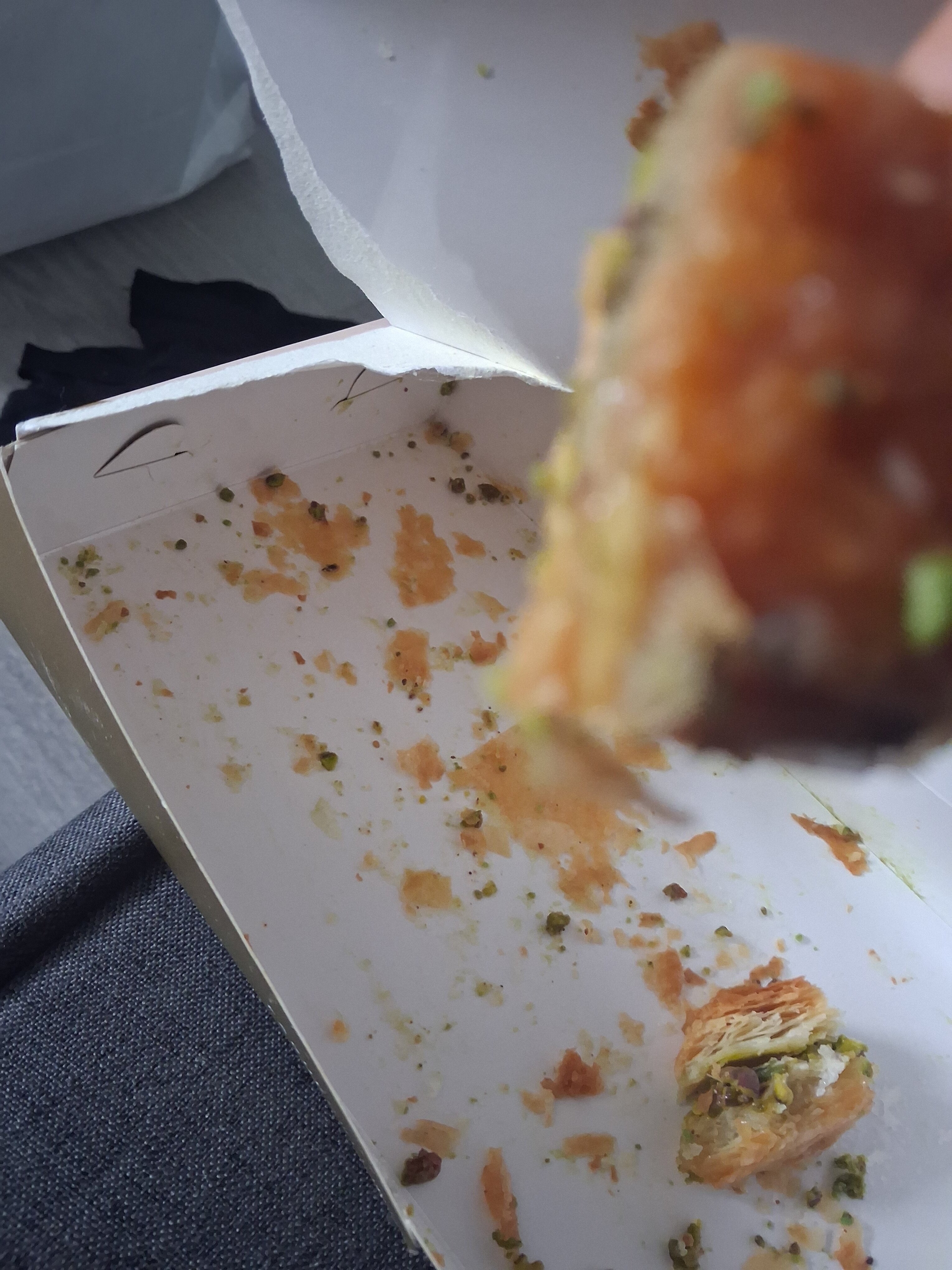 17693413764612292580388866466603