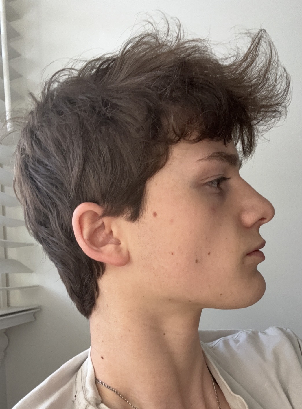 IMG 1687