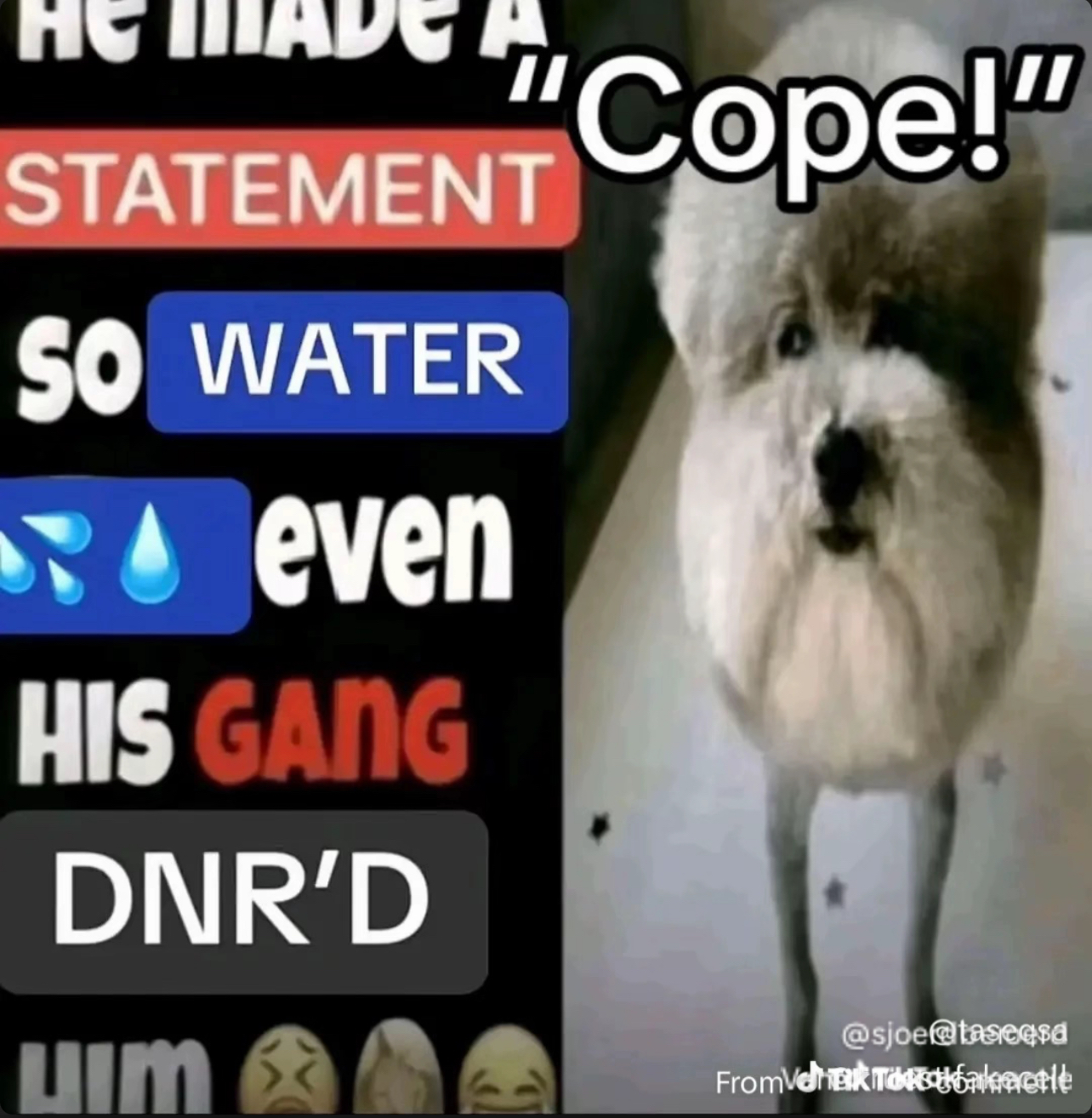 1000013693