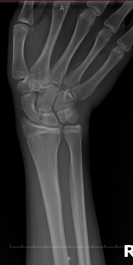 Screenshot 2026 01 17 171200