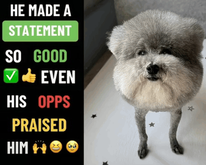 He made a statement