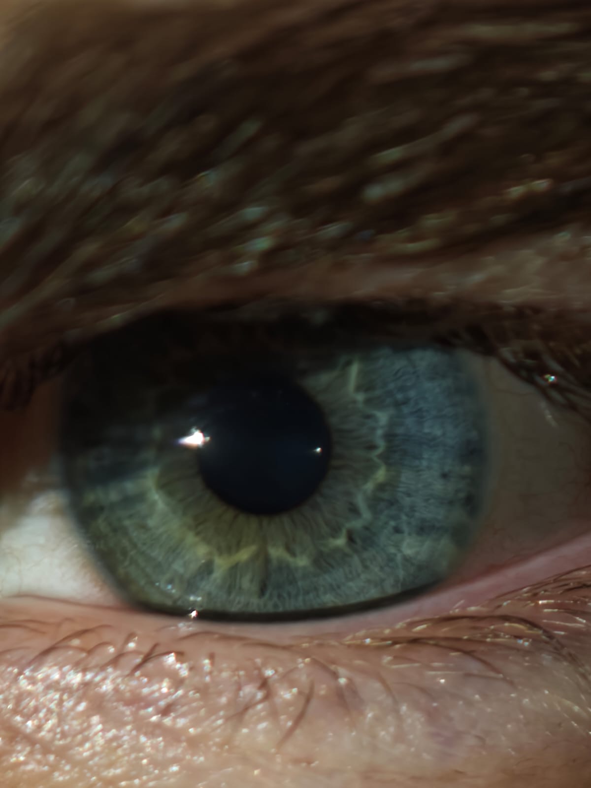 B303638d 2647 47dd a01c 9cefc5cb9140