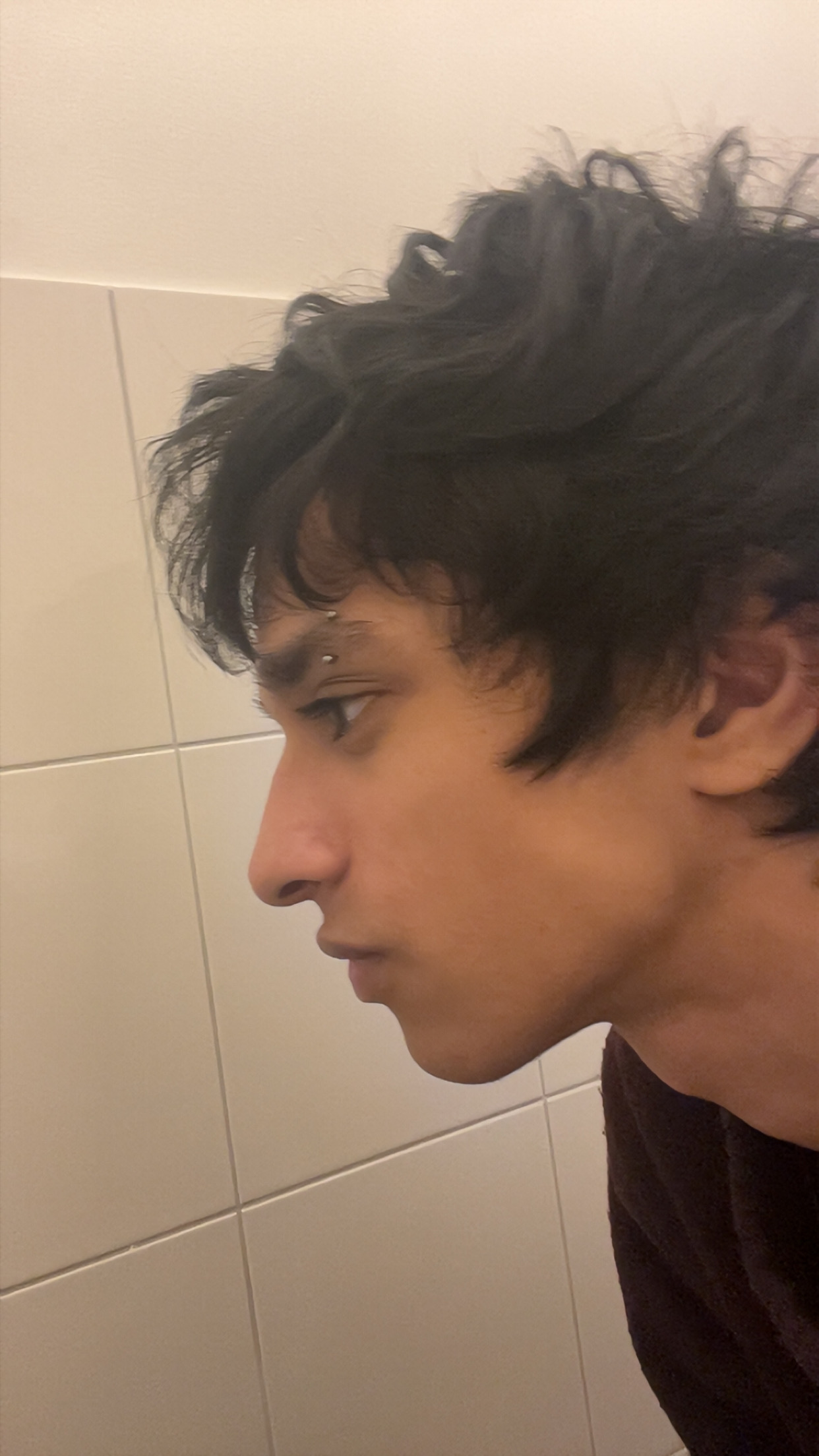 IMG 7564
