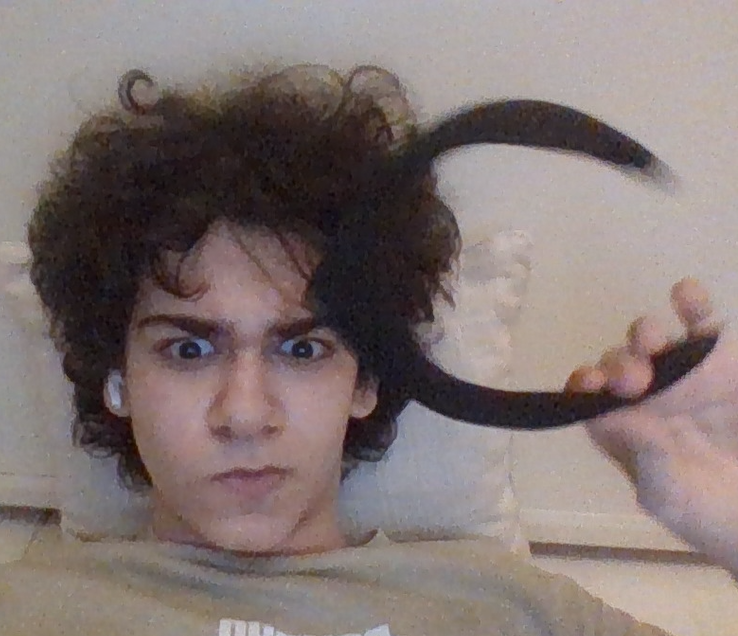 Ekran grnts 2026 01 26 012851