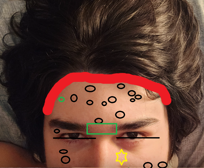 1769481371668